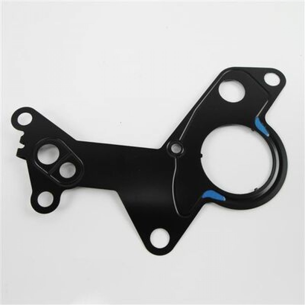 ELRING Tandem Pump Gasket 1.9 TDI PD