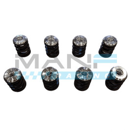 DBILAS DYNAMIC Performance Kit Molas de Válvula Duplas para VAG 1.9TDI / 2.0TDI 8V PD