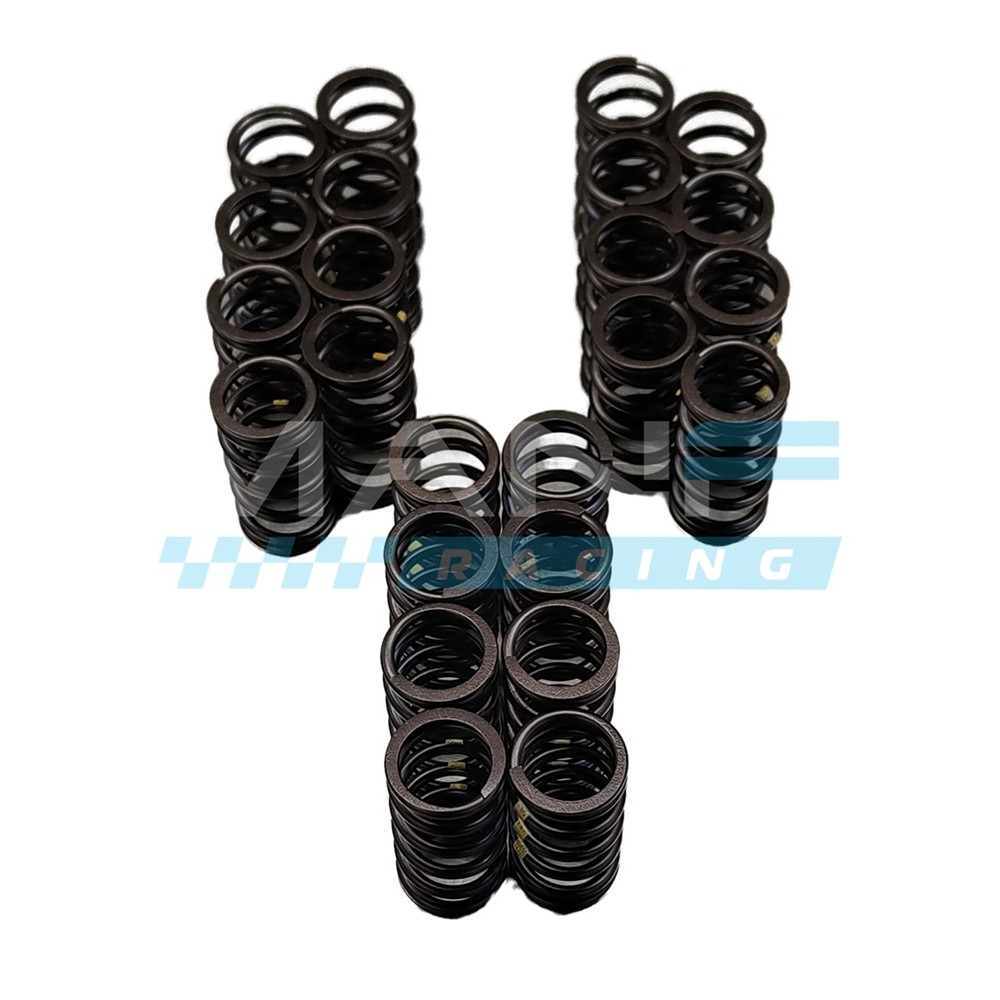 Dbilas Valve Spring Set BMW M57D30/M57N2 (25d / 30d / 35d)
