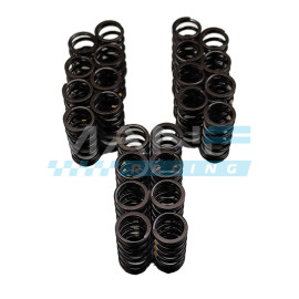 Dbilas Valve Spring Set BMW M57D30/M57N2 (25d / 30d / 35d)