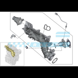MANF RACING Flap Delete BMW 1.5 Diesel B37 Motores
