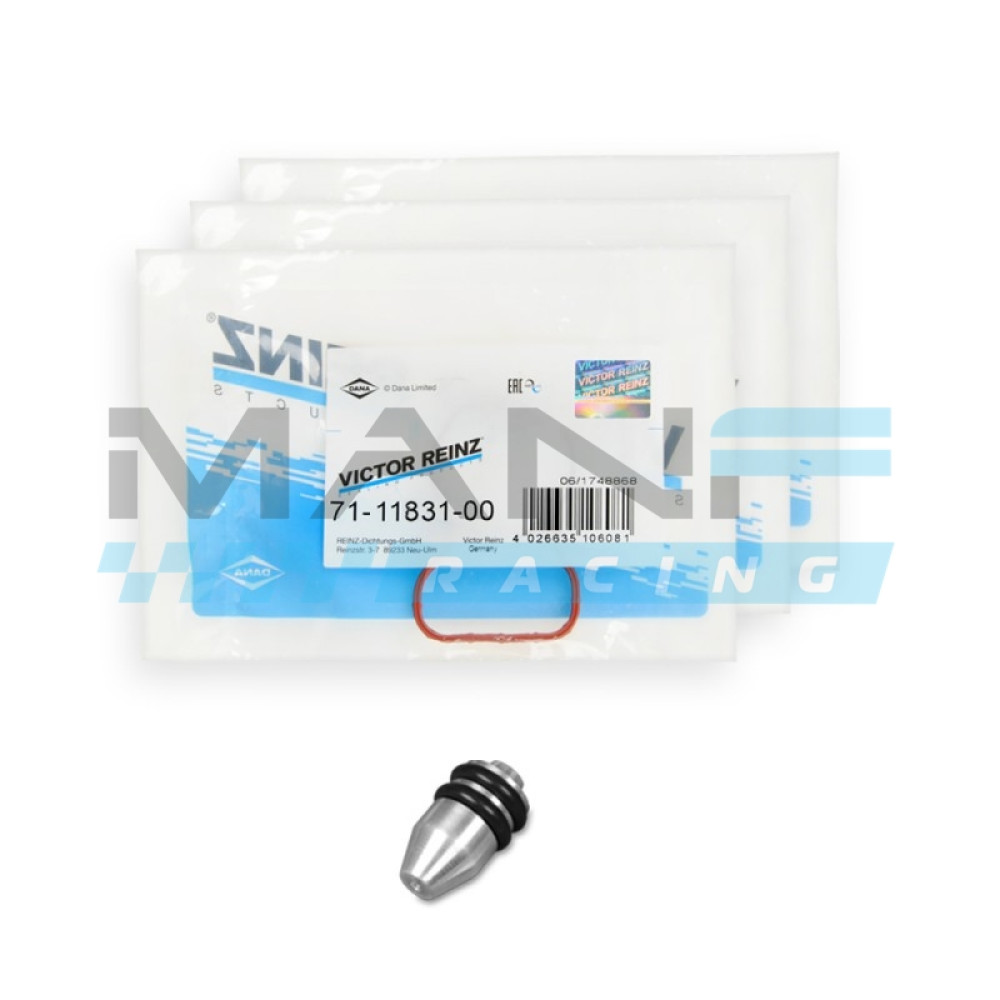 MANF RACING Flap Delete BMW 1.5 Diesel B37 Motores