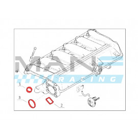MANF RACING Flap Delete Borboletas Admissão com Juntas 6x22mm BMW M57