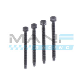 OEM Pack 4 Parafusos Apoio Injetor 1.9TDI PD