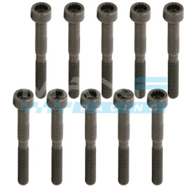 OEM Pack 10 Parafusos Arvore Came 1.9/2.0TDI 8V PD