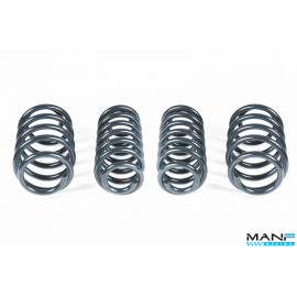 RACINGLINE MOLAS REBAIXAMENTO DESPORTIVAS VW GOLF MK7 & MK7.5 R / OCTAVIA 5E VRS (SPORTWAGON)