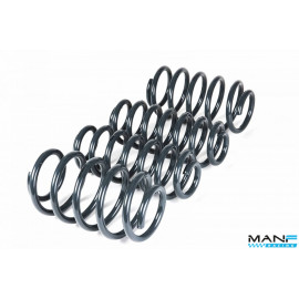 RACINGLINE MOLAS REBAIXAMENTO DESPORTIVAS VW GOLF MK7 & MK7.5 R / OCTAVIA 5E VRS (SPORTWAGON)