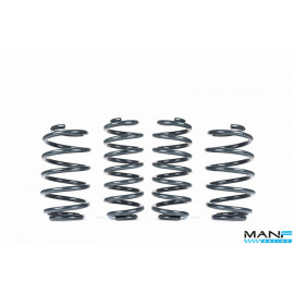 RACINGLINE MOLAS REBAIXAMENTO DESPORTIVAS VW GOLF MK7 & MK7.5 R / OCTAVIA 5E VRS (SPORTWAGON)